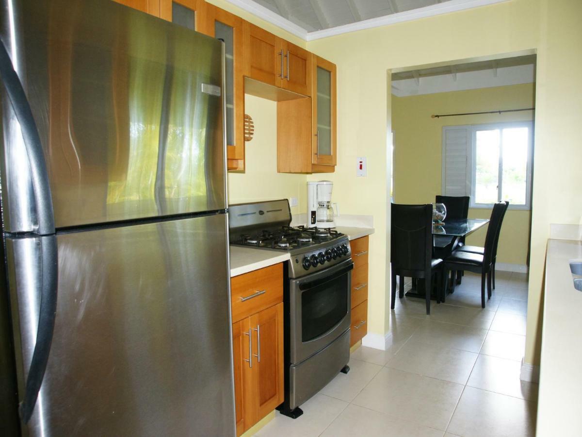Jamnick Vacation Rentals - Richmond, St Ann, Jamaica Ocho Ríos Exterior foto